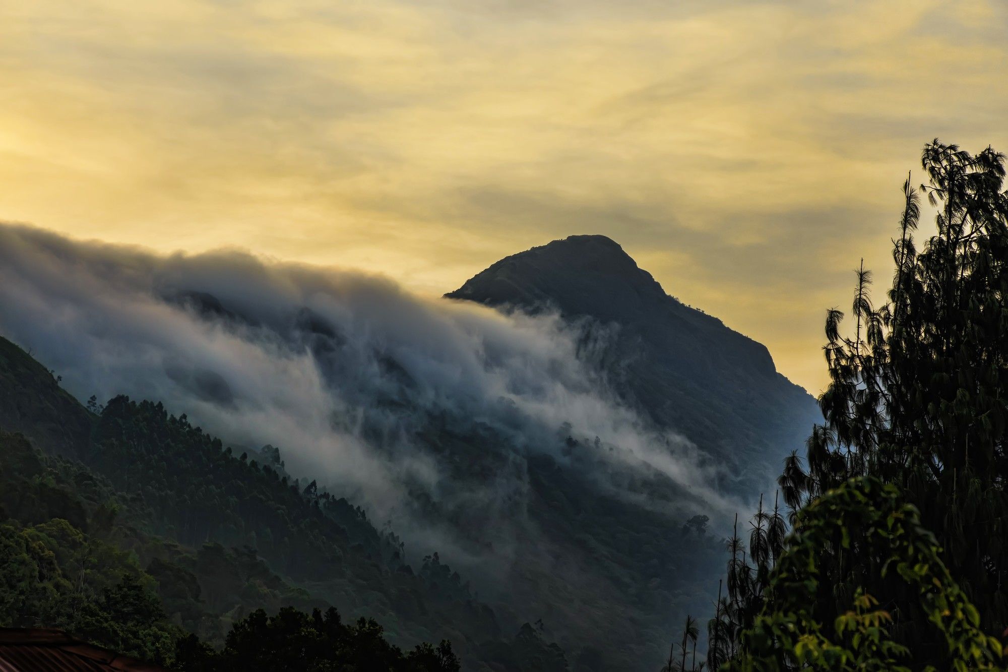 Windermere Estate Munnar Buitenkant foto