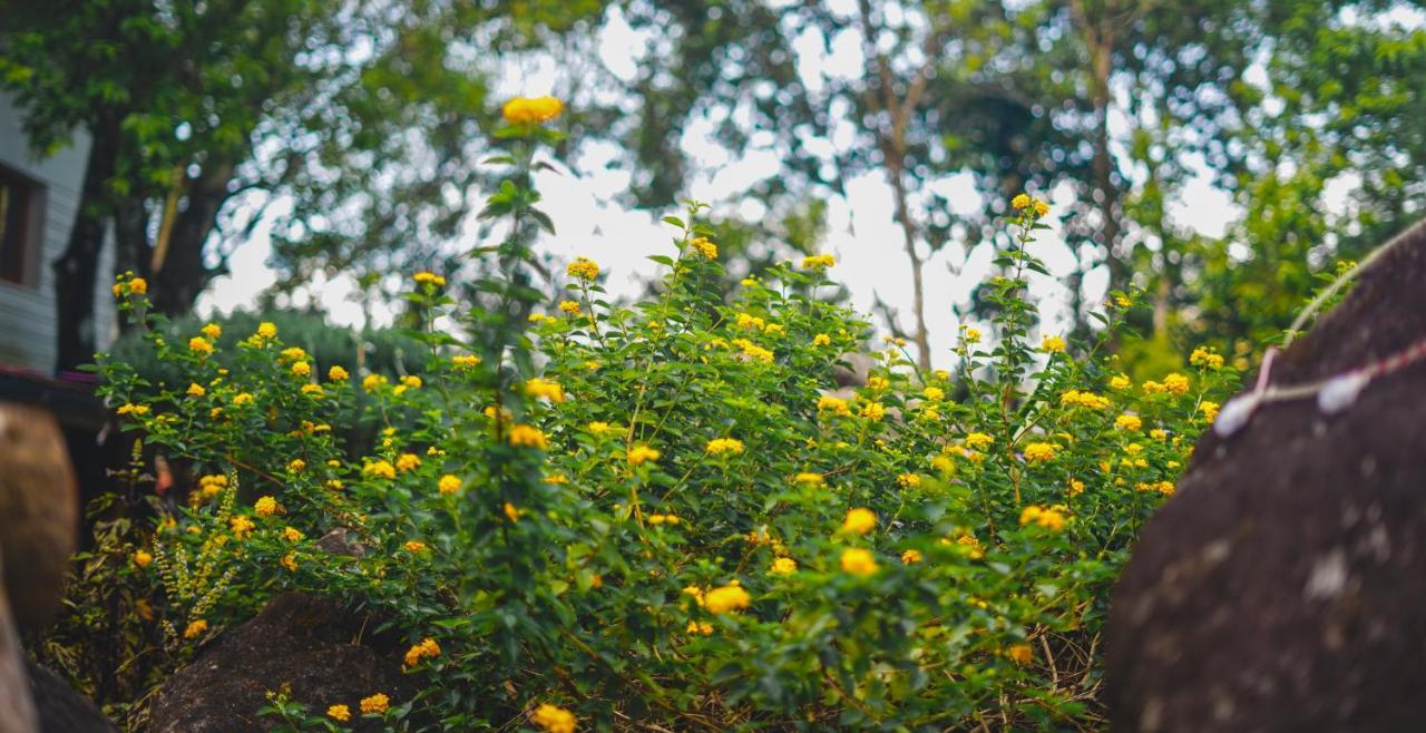 Windermere Estate Munnar Buitenkant foto