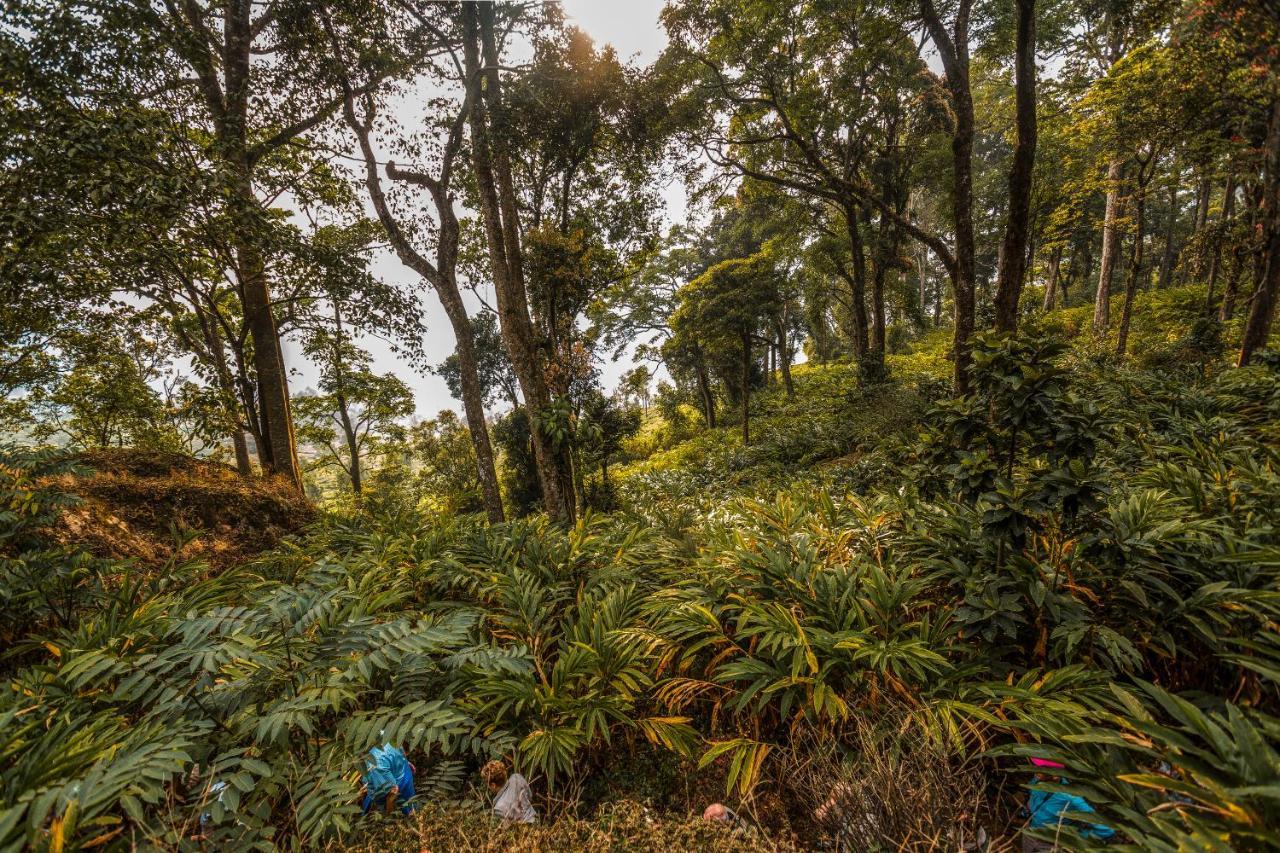 Windermere Estate Munnar Buitenkant foto